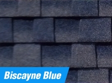 Biscayne Blue